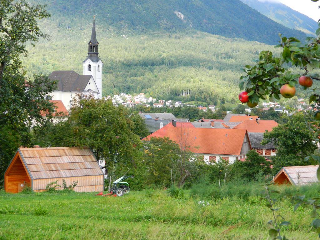 Glamping Organic Farm Slibar Villa Trzic ภายนอก รูปภาพ